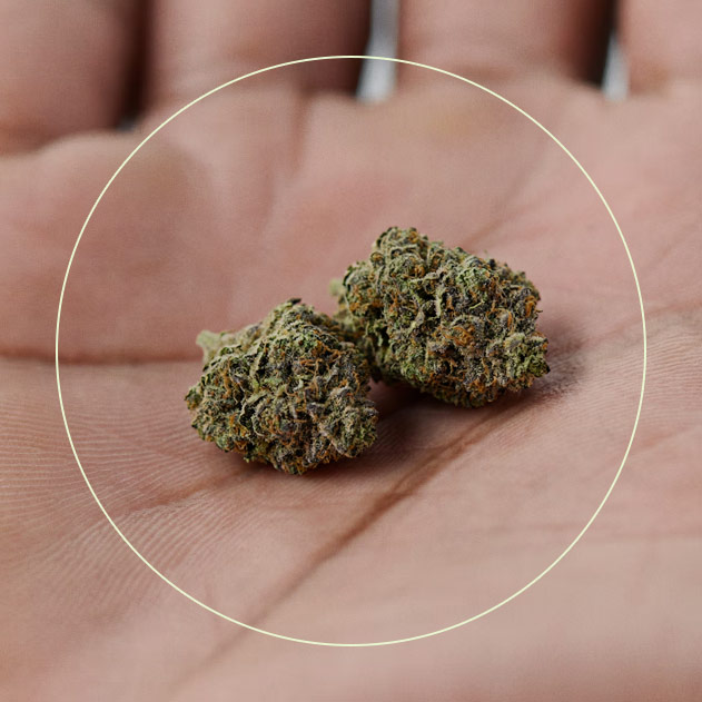 handBuds_r